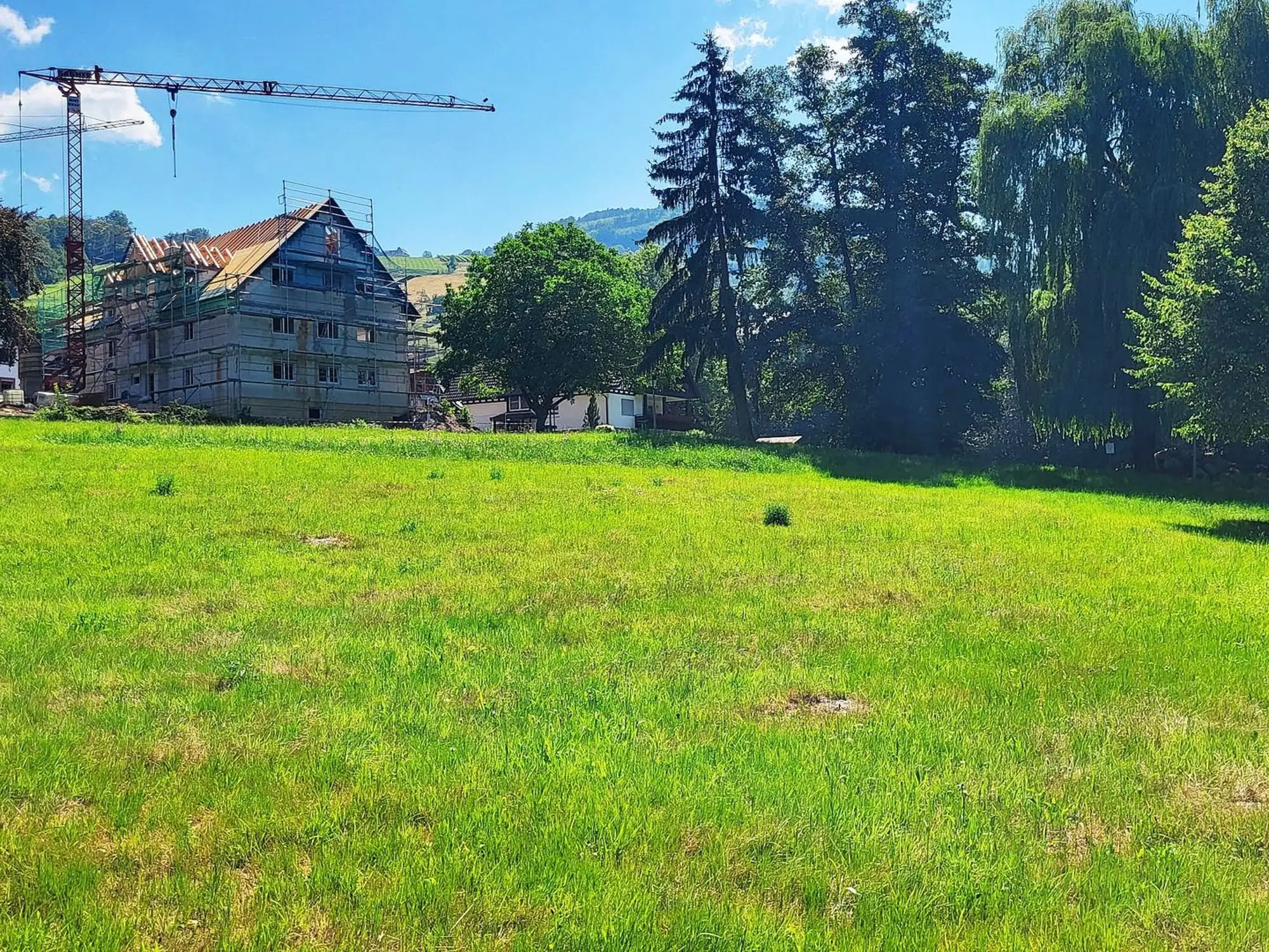 Sasbachwalden project view 5